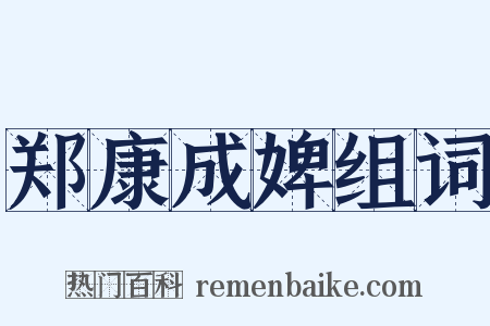 郑康成婢组词是什么意思的图片